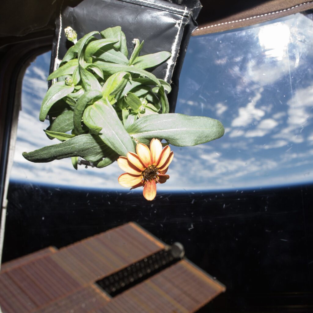Space farming