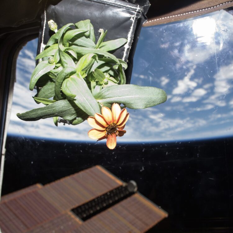 Space farming